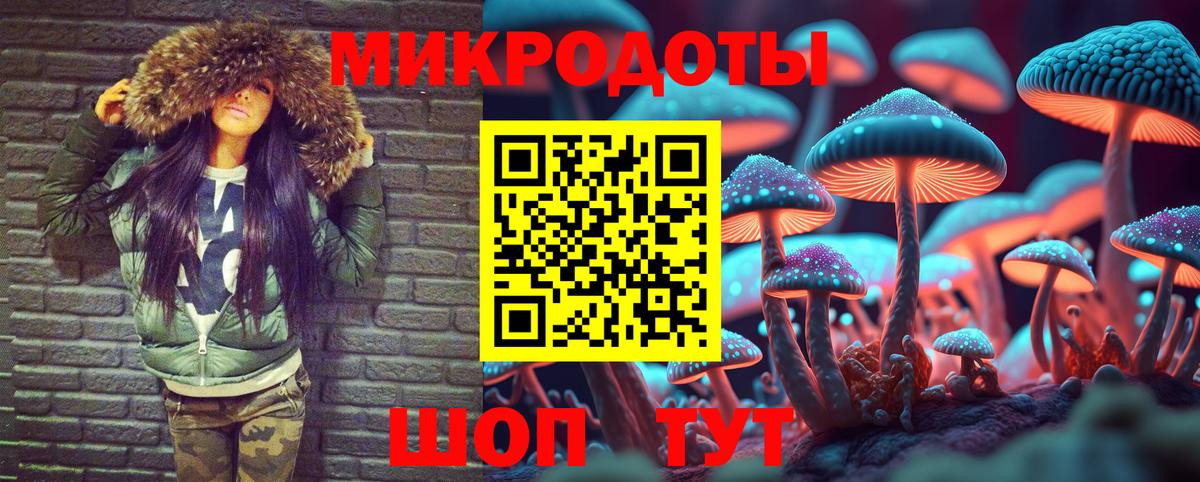 Галлюциногенные грибы мухоморы Сунжа