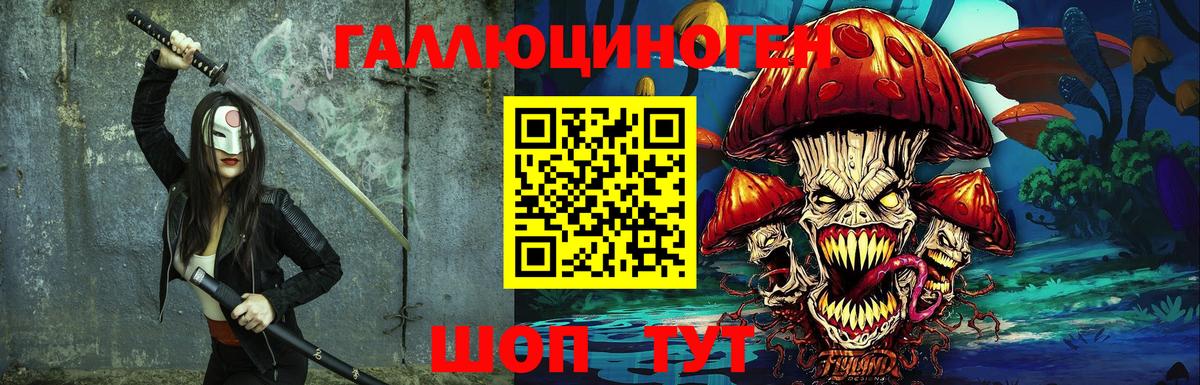 Сунжа  Галлюциногенные грибы Cubensis  Вход с VPN  Галлюциногенные грибы мицелий 